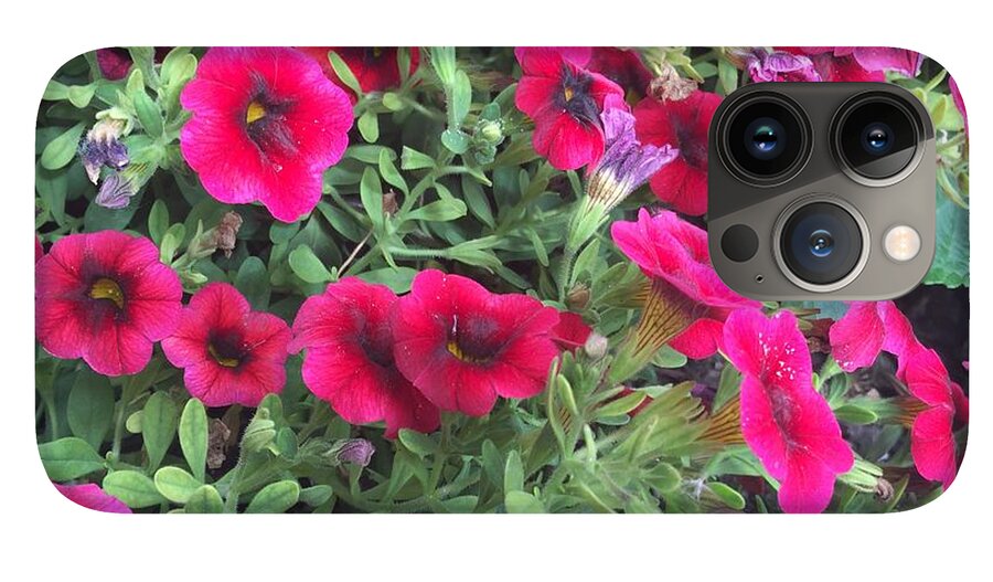 Pink Petunias - Phone Case