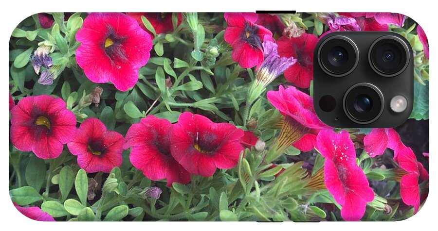 Pink Petunias - Phone Case