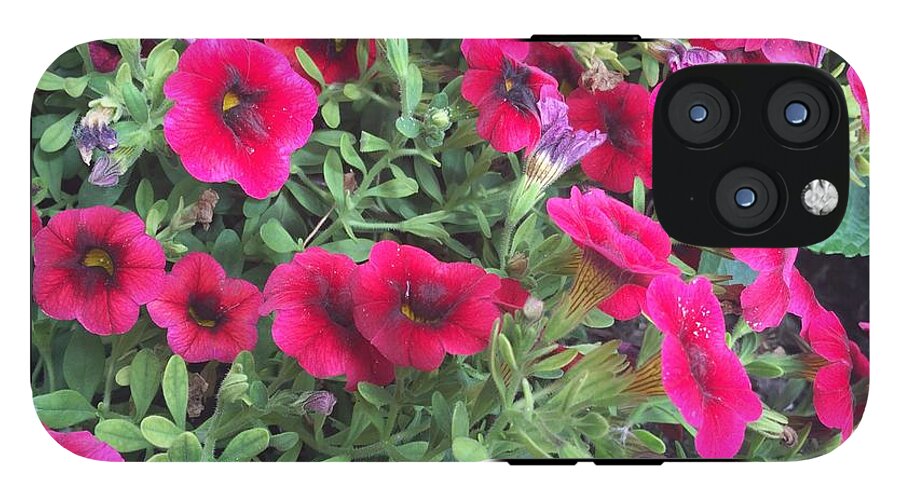 Pink Petunias - Phone Case