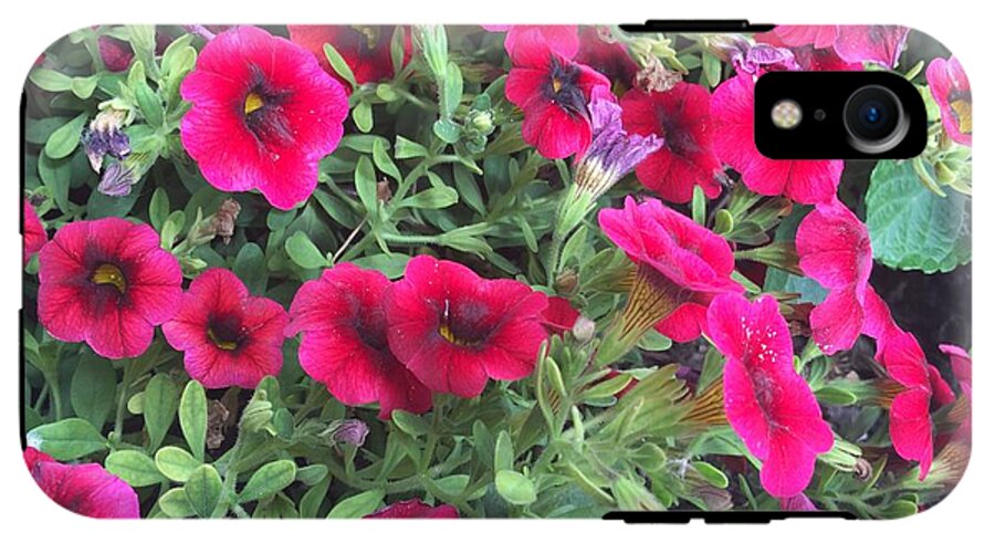 Pink Petunias - Phone Case