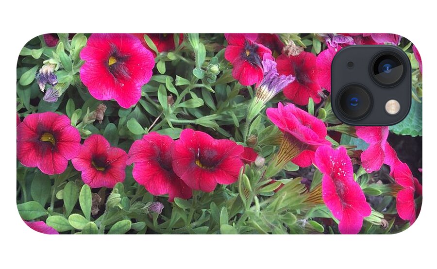 Pink Petunias - Phone Case