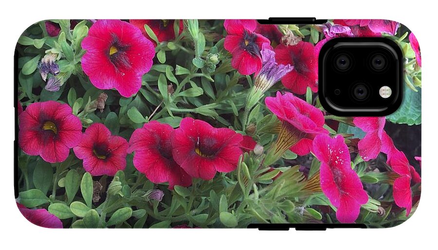 Pink Petunias - Phone Case