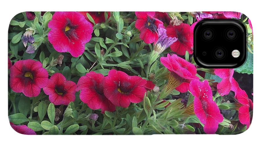 Pink Petunias - Phone Case