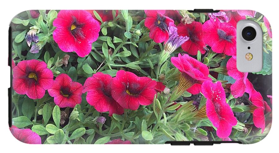 Pink Petunias - Phone Case