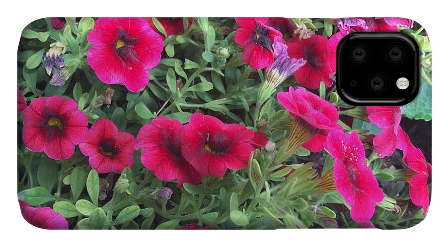 Pink Petunias - Phone Case