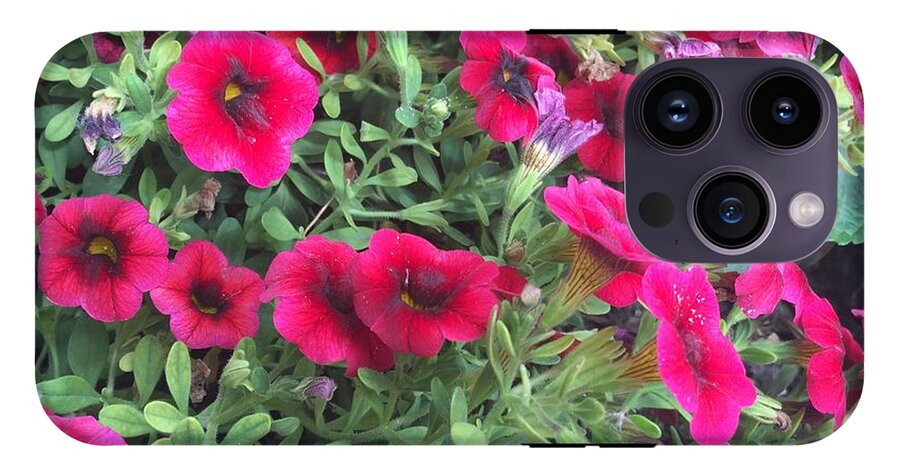 Pink Petunias - Phone Case