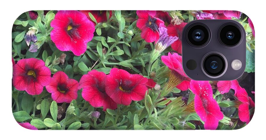 Pink Petunias - Phone Case