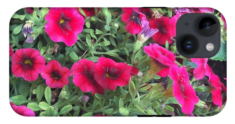 Pink Petunias - Phone Case