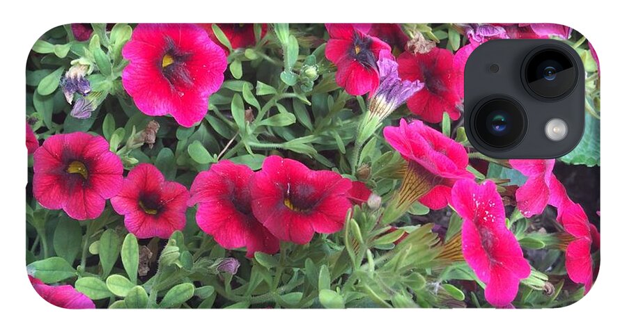 Pink Petunias - Phone Case