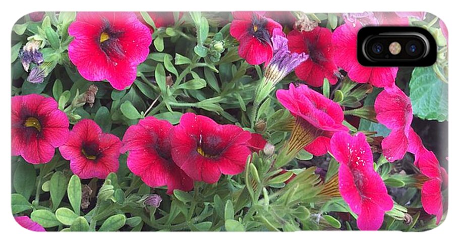 Pink Petunias - Phone Case