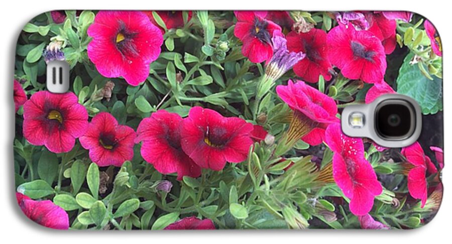 Pink Petunias - Phone Case