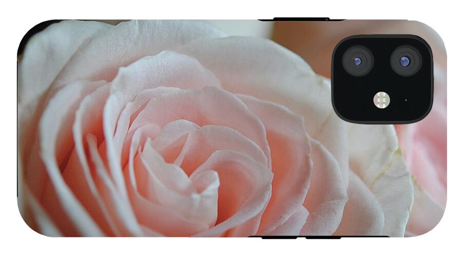 Pink Rose Group - Phone Case