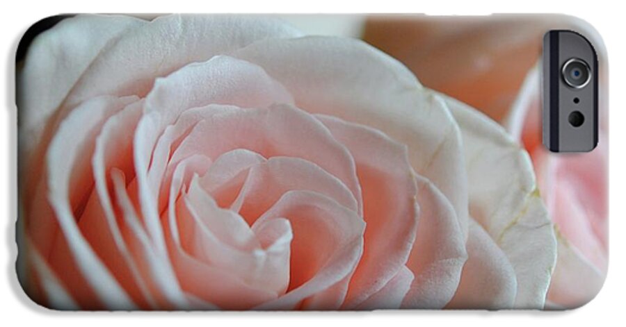 Pink Rose Group - Phone Case