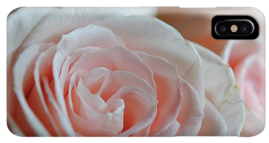 Pink Rose Group - Phone Case