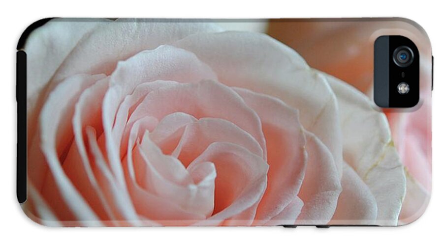 Pink Rose Group - Phone Case