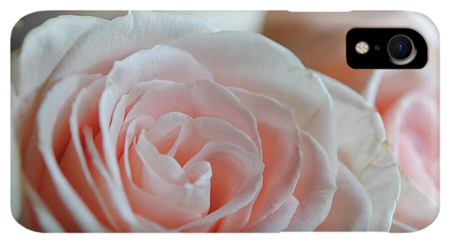 Pink Rose Group - Phone Case