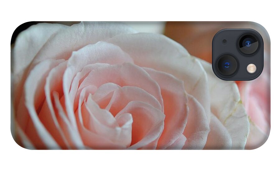 Pink Rose Group - Phone Case