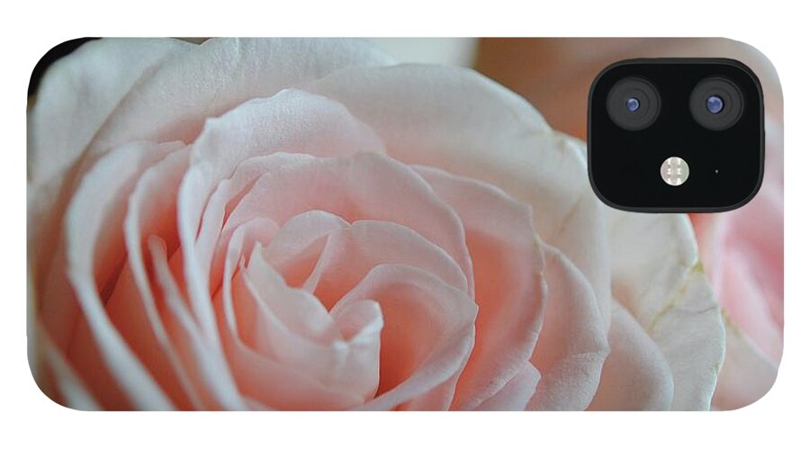 Pink Rose Group - Phone Case