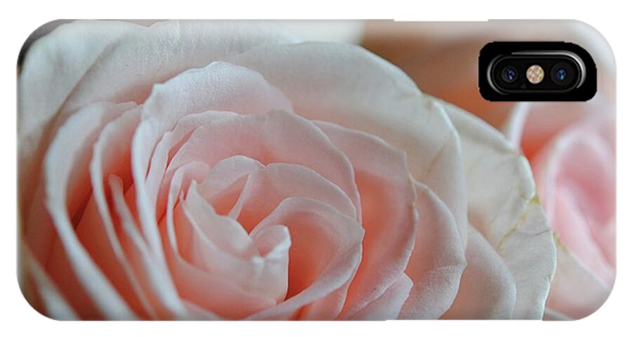 Pink Rose Group - Phone Case