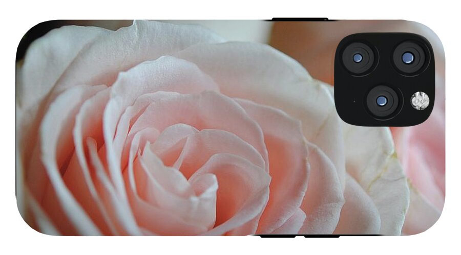 Pink Rose Group - Phone Case