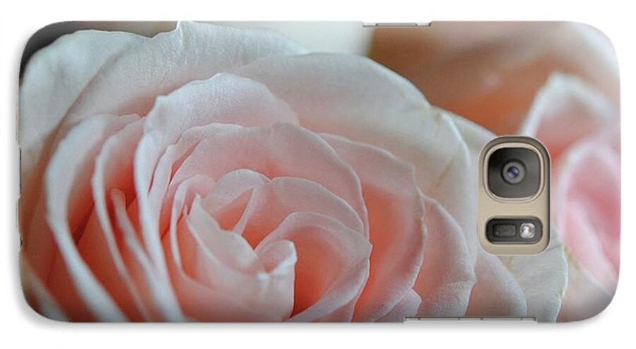 Pink Rose Group - Phone Case