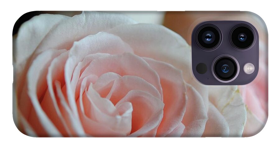 Pink Rose Group - Phone Case