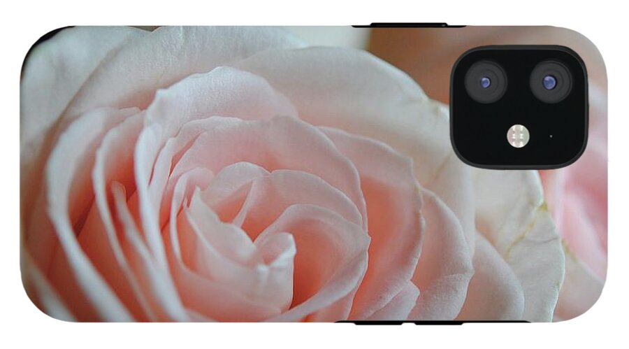Pink Rose Group - Phone Case