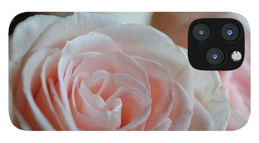 Pink Rose Group - Phone Case