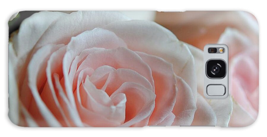 Pink Rose Group - Phone Case