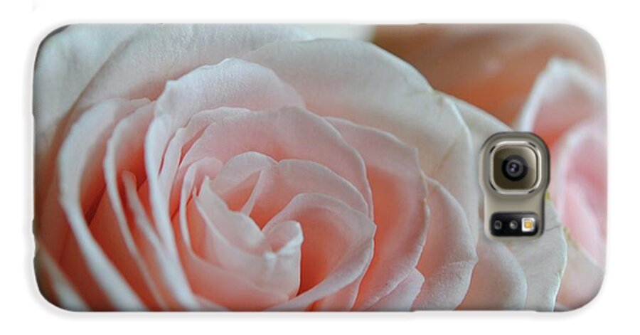 Pink Rose Group - Phone Case