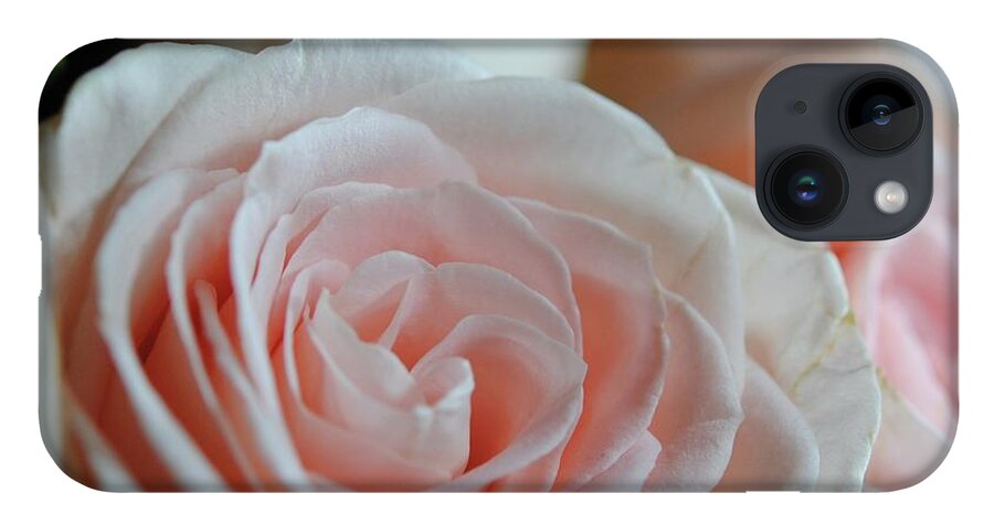 Pink Rose Group - Phone Case
