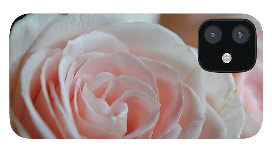 Pink Rose Group - Phone Case