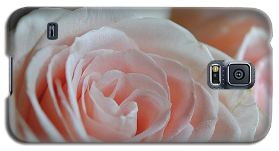 Pink Rose Group - Phone Case