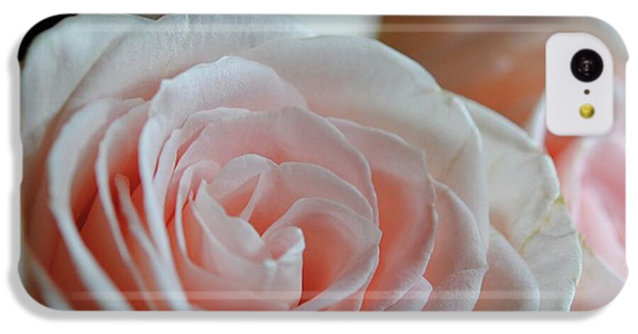 Pink Rose Group - Phone Case