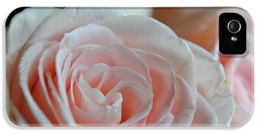 Pink Rose Group - Phone Case