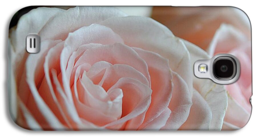 Pink Rose Group - Phone Case