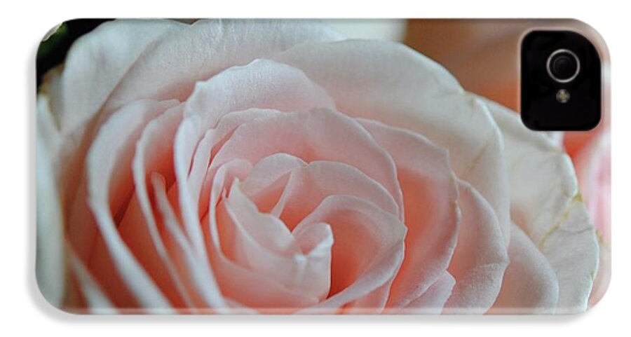 Pink Rose Group - Phone Case
