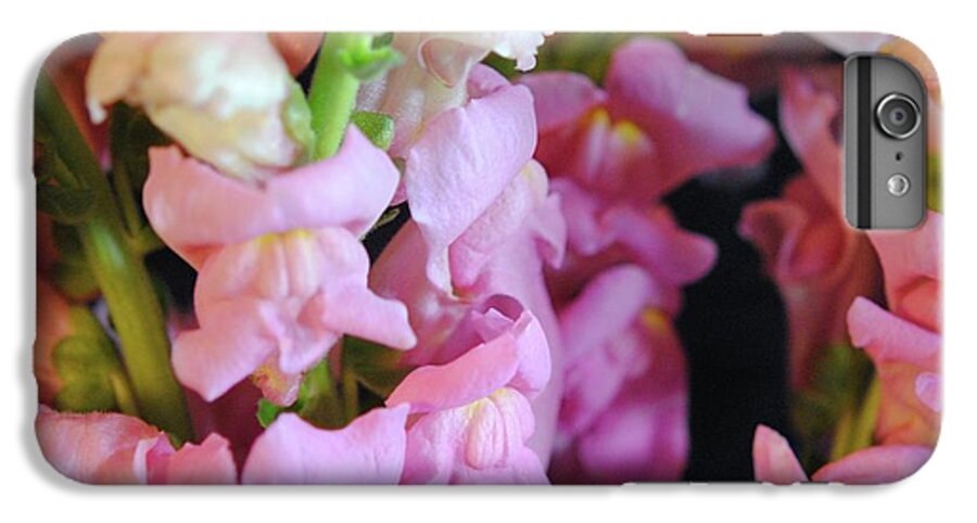 Pink Snapdragons - Phone Case