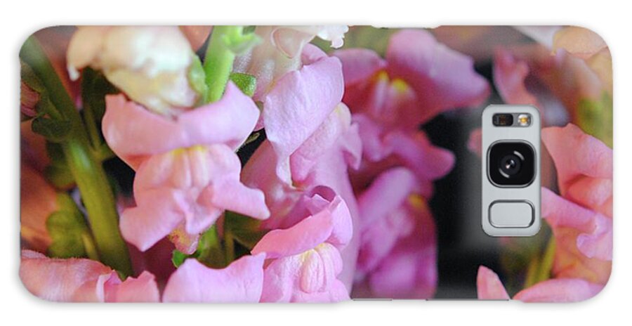 Pink Snapdragons - Phone Case