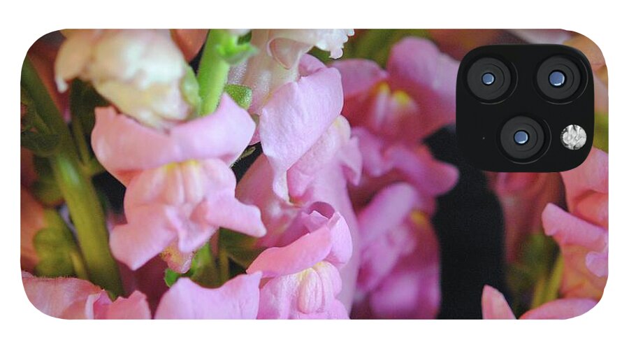 Pink Snapdragons - Phone Case
