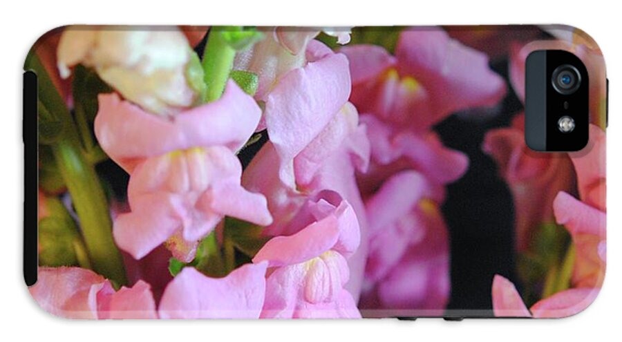 Pink Snapdragons - Phone Case