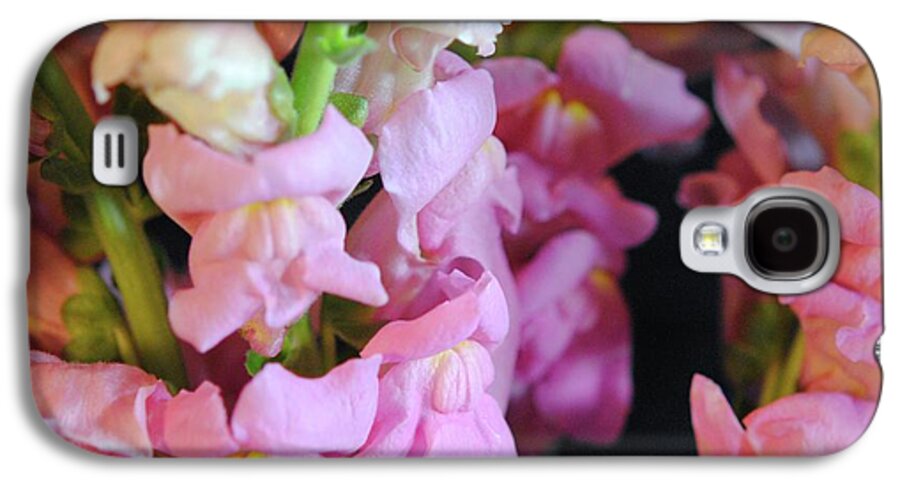 Pink Snapdragons - Phone Case
