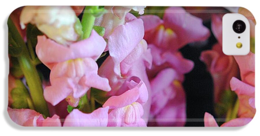 Pink Snapdragons - Phone Case