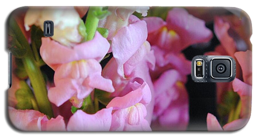 Pink Snapdragons - Phone Case