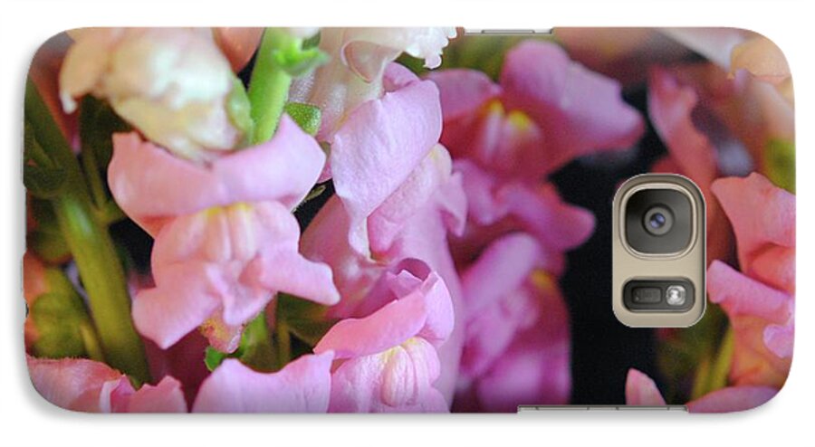 Pink Snapdragons - Phone Case