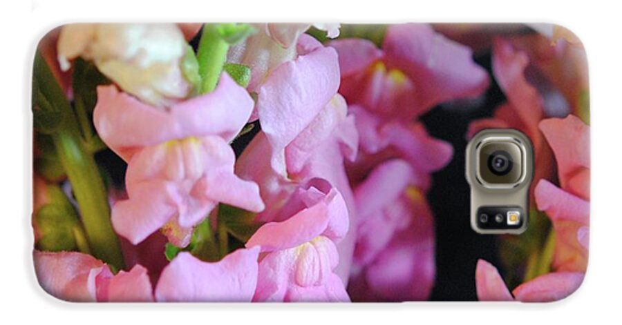 Pink Snapdragons - Phone Case