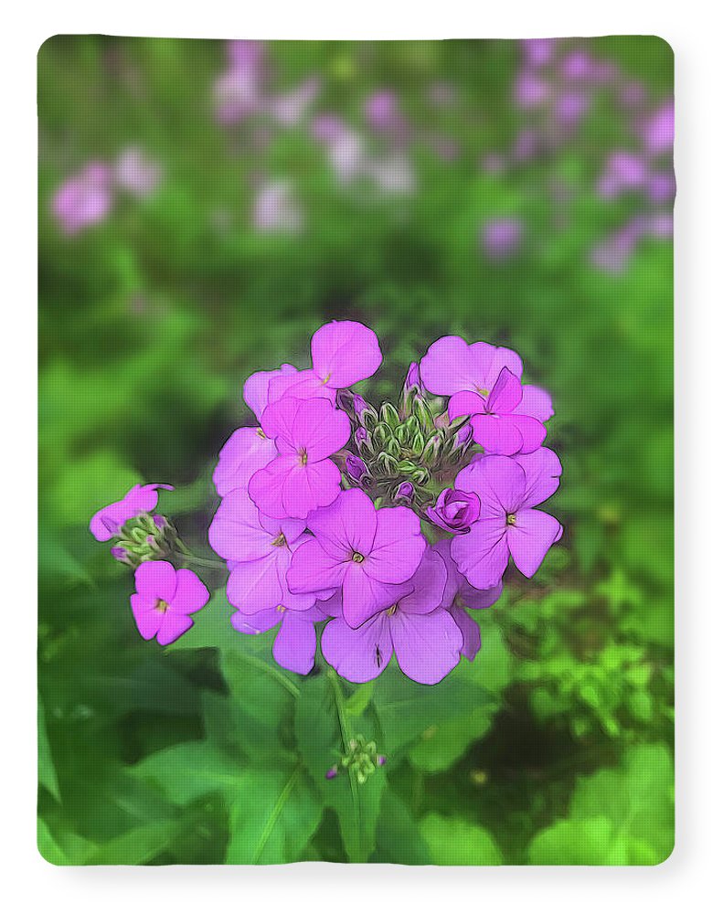 Pink Wildflowers - Blanket
