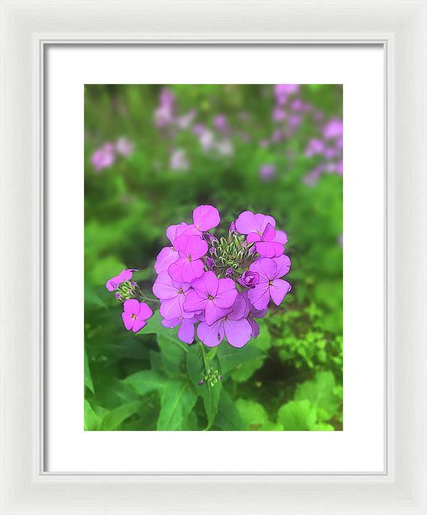 Pink Wildflowers - Framed Print