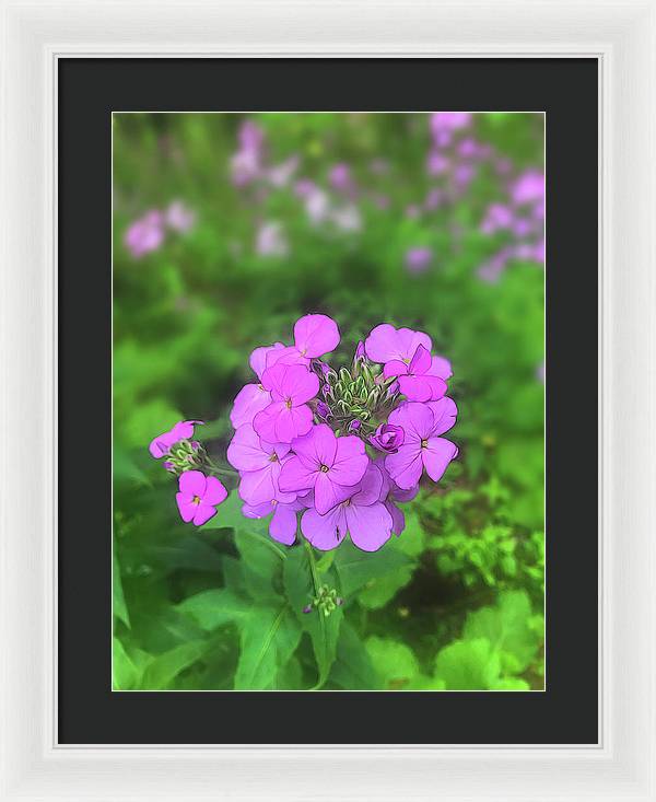 Pink Wildflowers - Framed Print