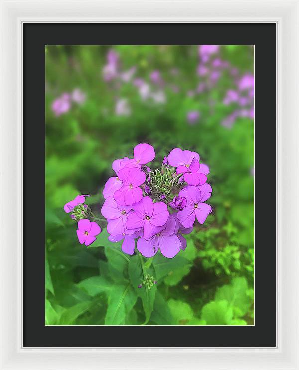 Pink Wildflowers - Framed Print